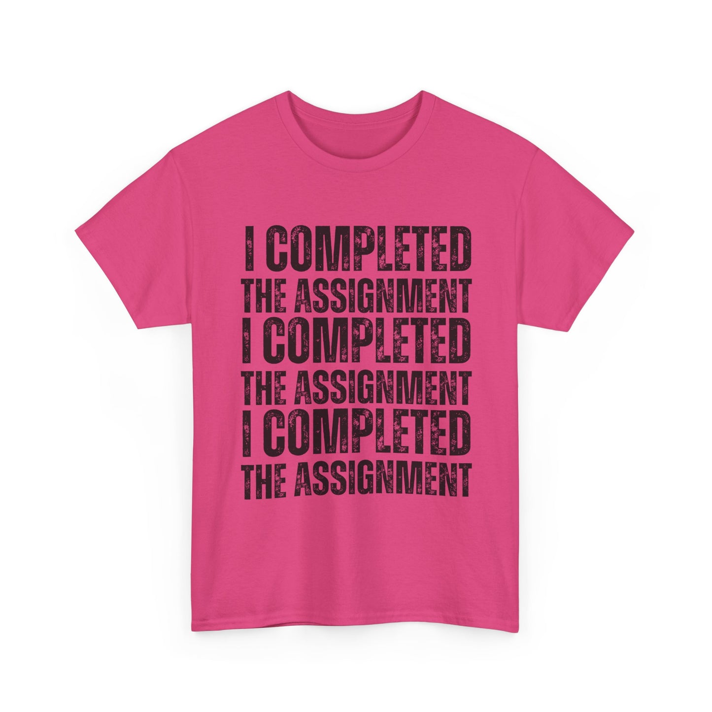 I Completed The Assignment Tshirt