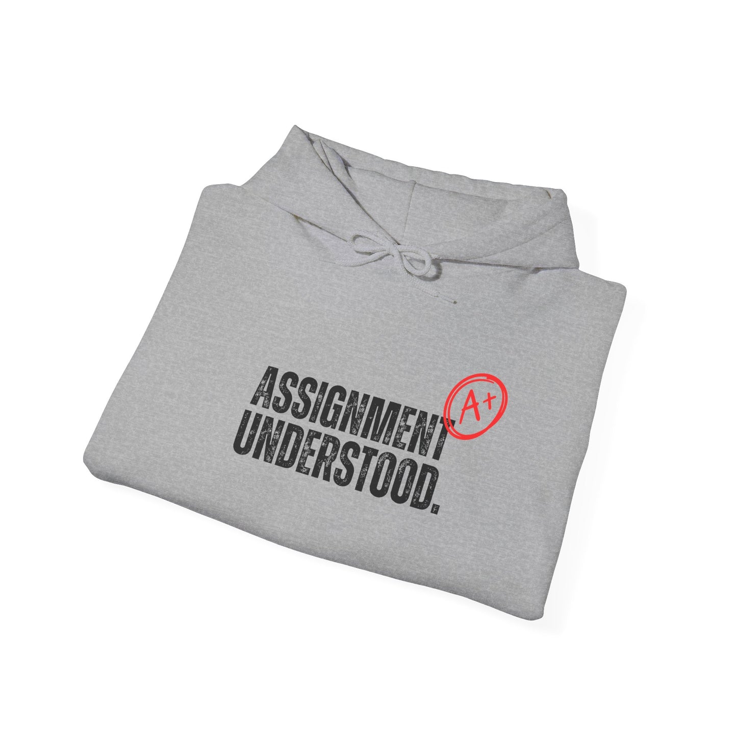 Assignment Understood Hooded Sweatshirt