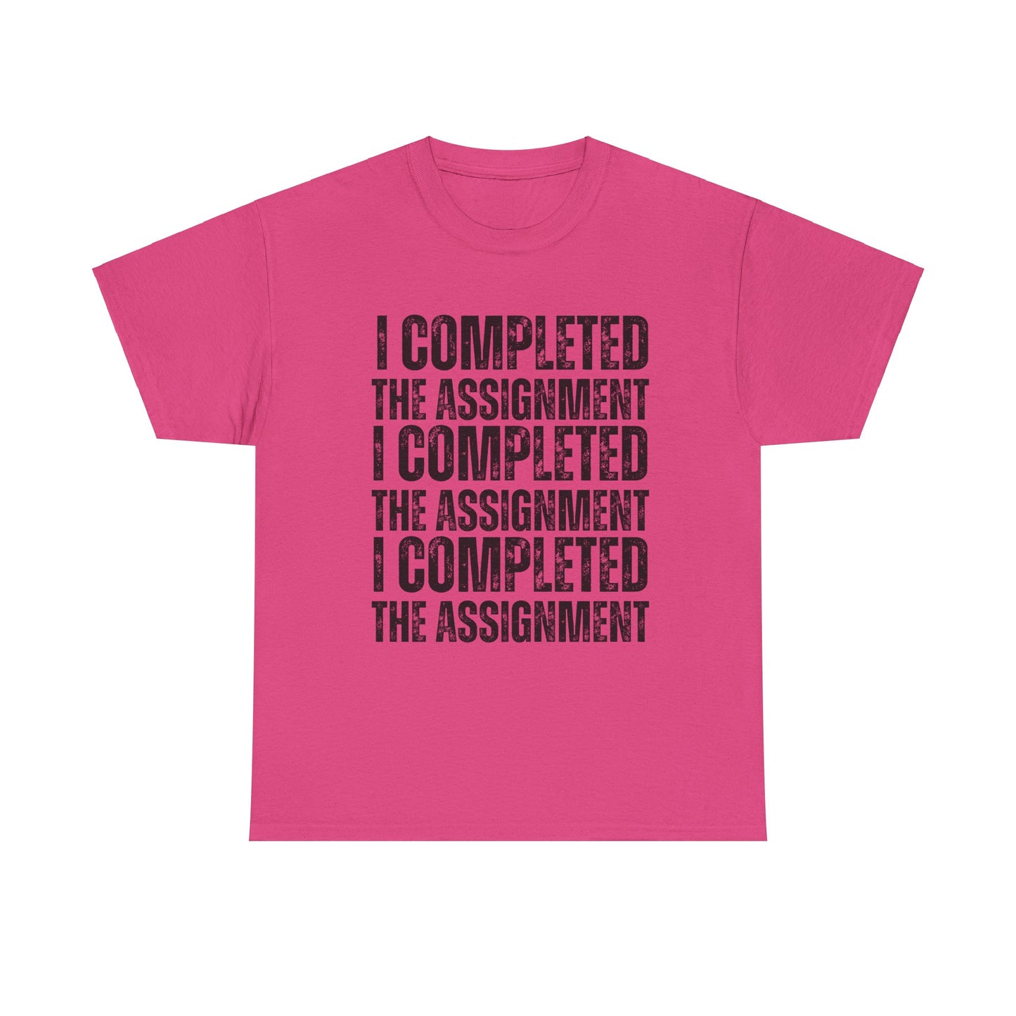 I Completed The Assignment Tshirt