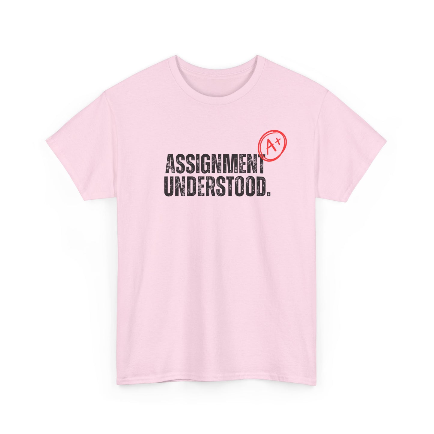 Assignment Understood Tshirt