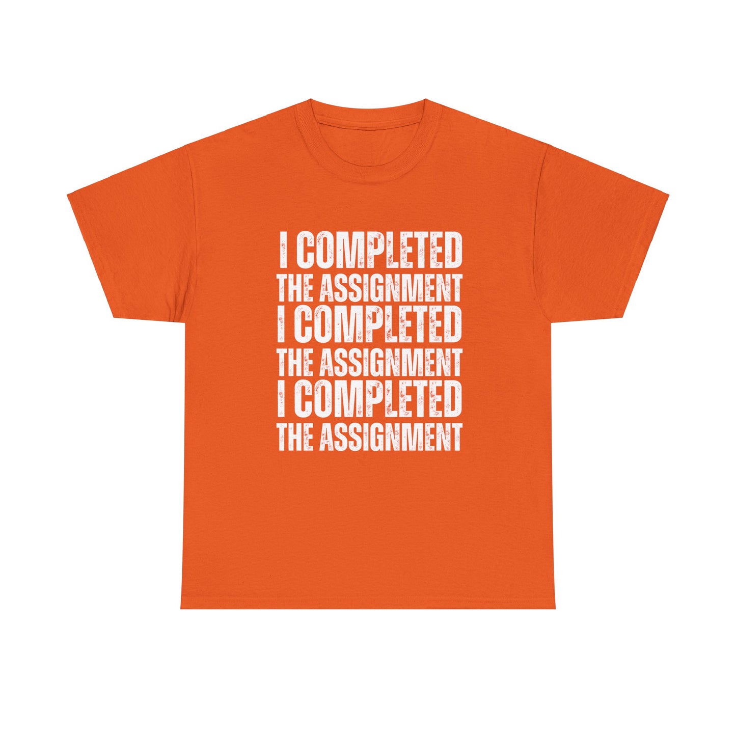 I Completed The Assignment Tshirt