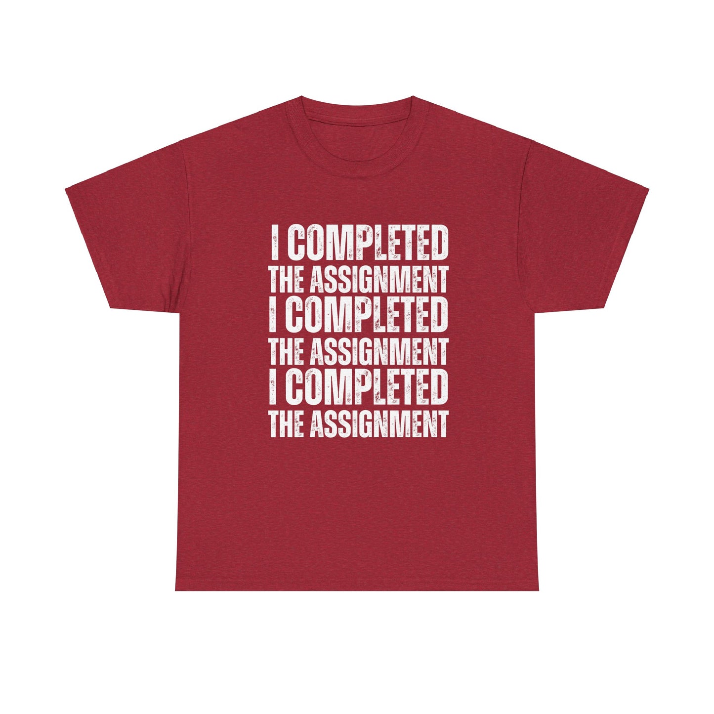 I Completed The Assignment Tshirt