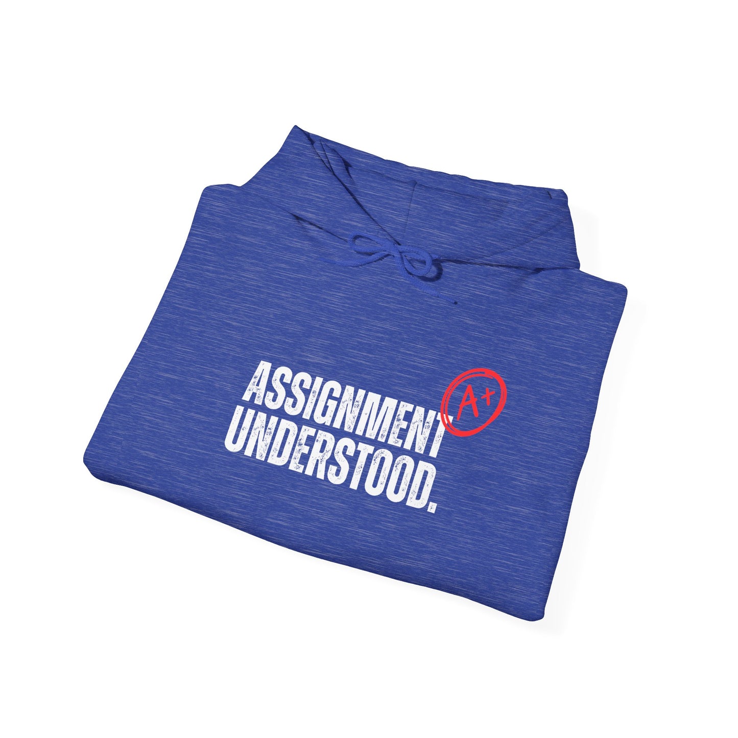 Assignment Understood Hooded Sweatshirt