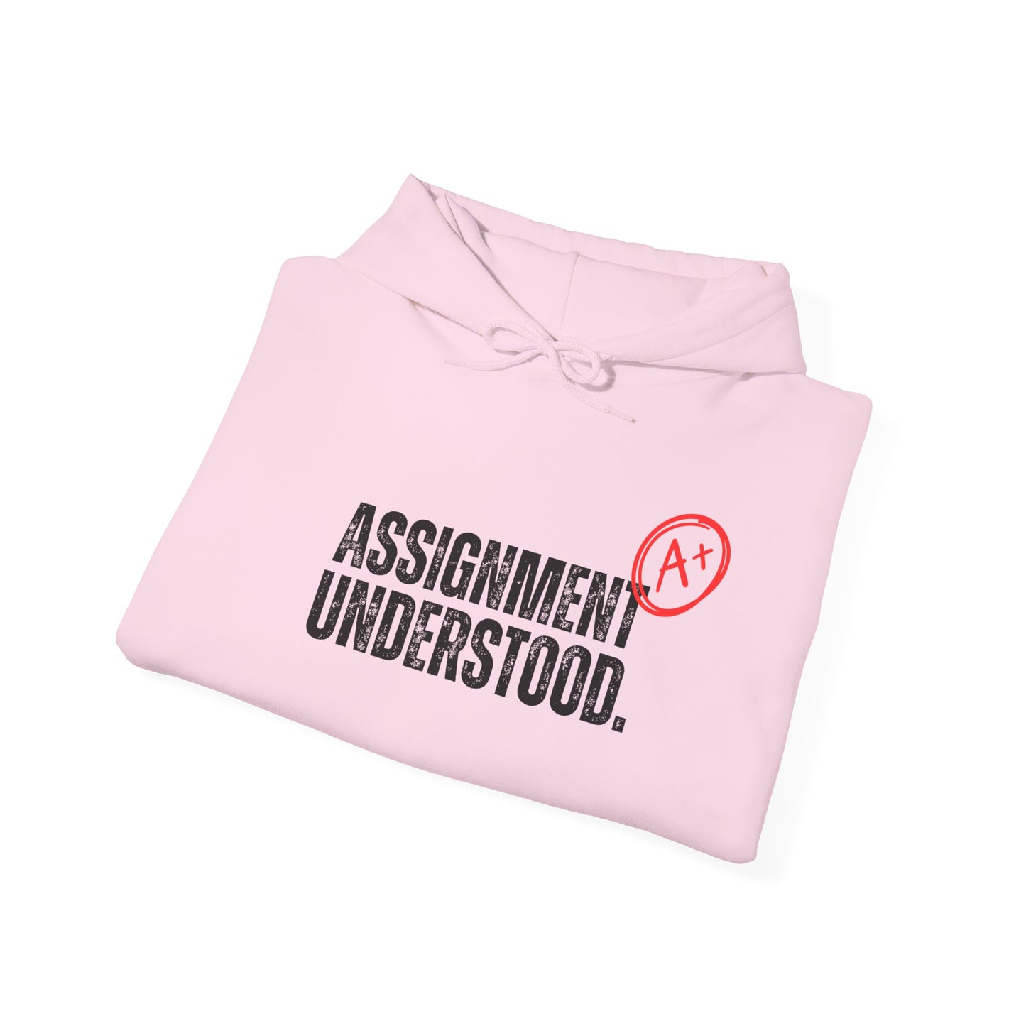 Assignment Understood Hooded Sweatshirt