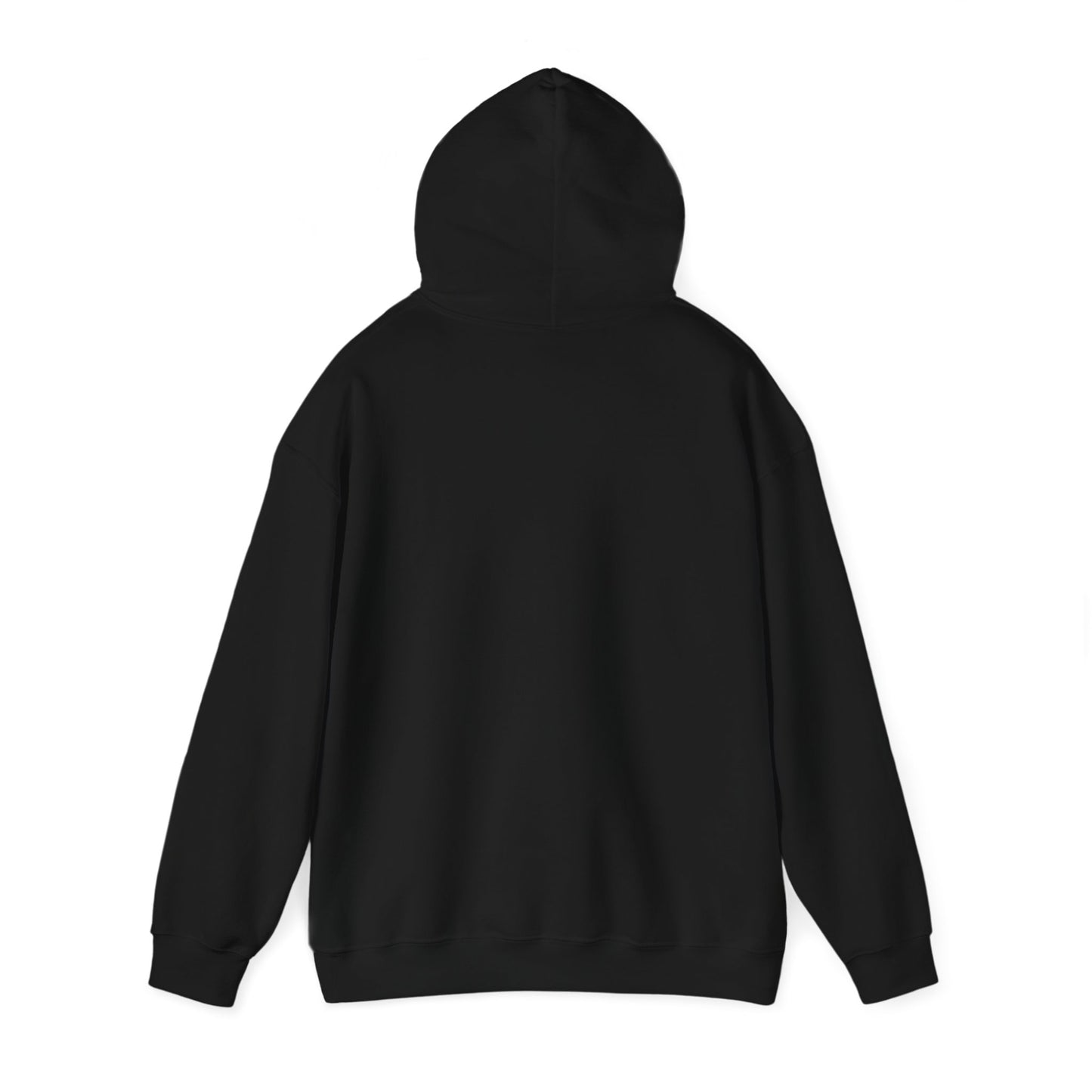 “YO MAMA IS A DEI HIRE” Hooded Sweatshirt