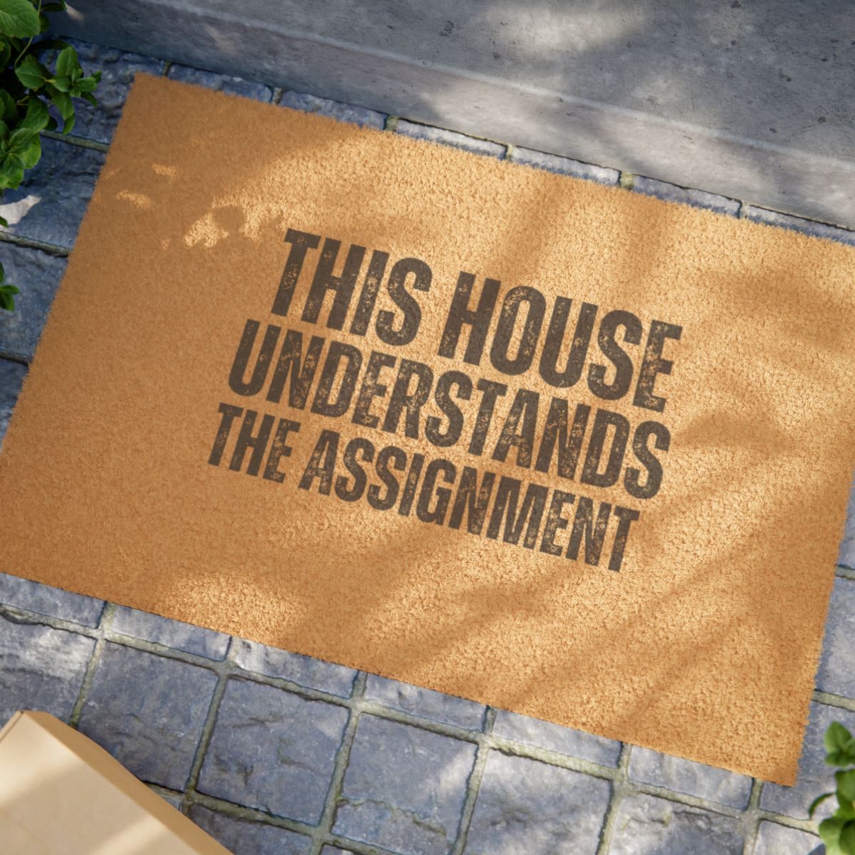 This House Understands The Assignment Doormat