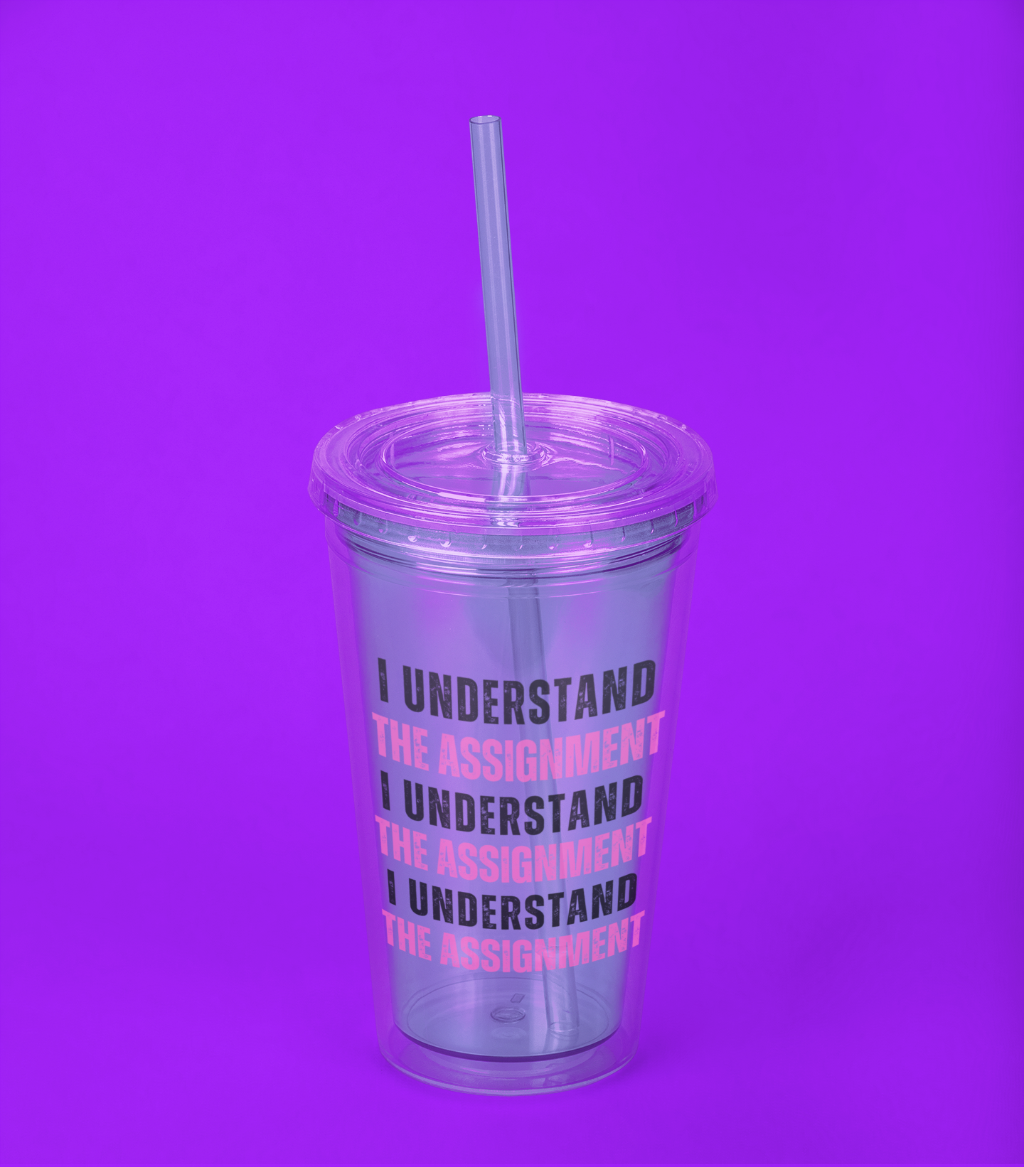 I Understand The Assignment Tumbler with Straw, 16oz